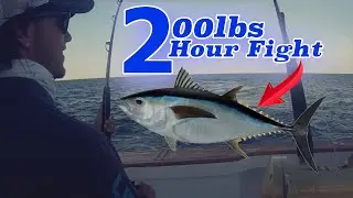 MAN VS. GIANT 200lb TUNA!