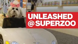 Unleashed: What&rsquo;s Hot at SuperZoo!