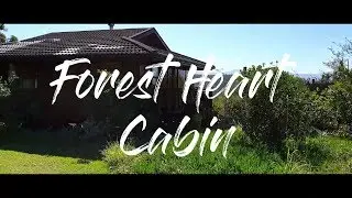 Forest Heart Cabin - Accommodation, Knysna