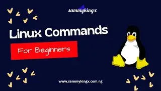 Linux Commands for beginners - shell basics