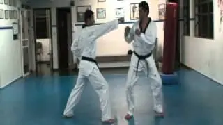 Taekwondo Hanbon # 15