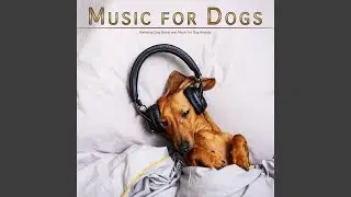 Ocean Waves Dog Music
