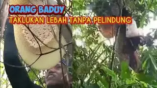 Madu Odeng Baduy