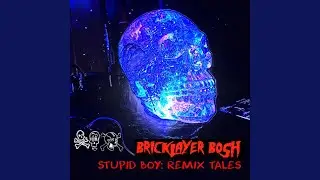 Stupid Boy (Tatum's Revenge Remix) by Doktor Zayus