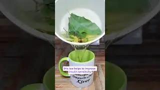 Лучший способ заварить чай из листьев манго!