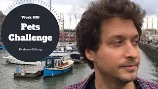 Weekly Challenge #38 &ndash; Pets Challenge! - Kindness-365.org