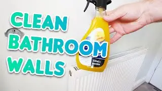 How To Clean Bathroom Walls Before Painting