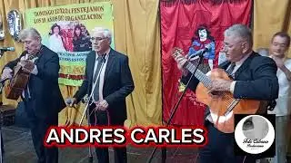 Andrés Carles Salón Inmaculada de José León Suárez