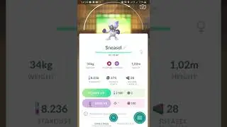 What You Need To Evolution hisuian Sneasel in Pokemon Go. #shorts #pokemongo