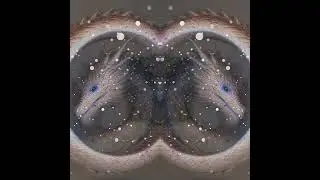 Aidraei - Aelerim (Visualyrical)