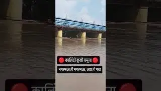 Yamuna Mission Clean-Up Update #flood #yamuna @delhikagourav