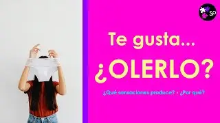 OLER ROPA INTERIOR 👙: el morbo del que NADIE habla (la verdad sobre la OSMOLAGNIA)