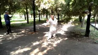 XingYi Quan Five Element Fist