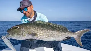 No Bait Needed! 