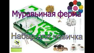 Муравьиная ферма Ant City Амазонка