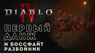 Diablo IV ОБТ. Первое подземелье и битва с боссом. Разбойник | D4 boss fight rogue