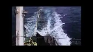 Tuna Purse Seine Fishing  (Quick Summary)
