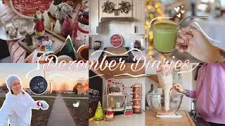 Dezember Diaries #1 🎄🎅🏻 Weihnachtlich dekorieren | Lebkuchen Matcha | Brotteig | Laufen im Winter