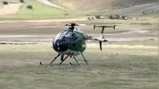 Elicottero NH-500 Corpo Forestale a Castelluccio di Norcia