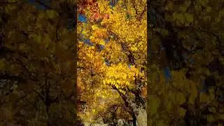 #travel #photography #autumn #hunza #incrediblehunza #trip #hunzavalley #nature #adventure