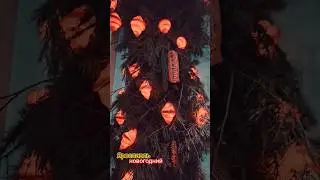 ЯРОСЛАВЛЬ ВО ВСЕЙ КРАСЕ