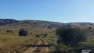 Hadi Yaylaya, Pikniğe Gidiyoruz