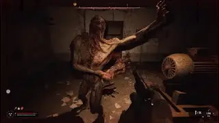 Stalker 2 heart of Chernobyl Episode 4 (PS5 Gameplay