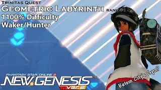 [PSo2:NGS] Geometric Labyrinth Rank #1 Max%  Waker/Hunter