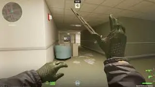 ★ Bayonet | Boreal Forest (field-tested) | ★ Driver Gloves | Racing Green (field-tested) CS2