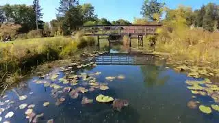 FPV Drone at Lock Four