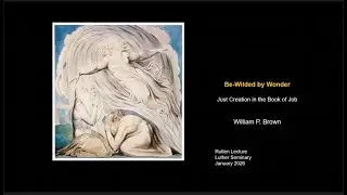 Be-Wilded by Wonder: The Book of Job and God's Wild Kingdom | Rutlen Lecture on Faith and Creation