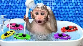 Baby monkey Bon Bon drives a car with his puppy in the garden | BonBon Indonesian