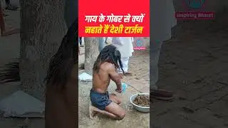 Why does the desi Tarzan bathe in cow dung?