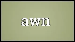 Awn Meaning
