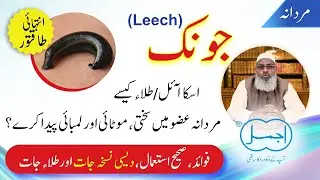 Jonk (جونک) | Leech Oil benefits for Men | Tila Jaat | Nafs ki Sakhti/Kamzori/Lamba krne ka Tila