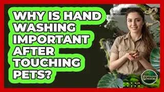 Why Is Hand Washing Important After Touching Pets?