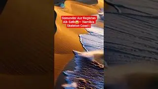 Samundar Aur Registan Aik Sath 😱 Namibia Skeleton Coast #dannyfactsai #shorts #viral #trending #new
