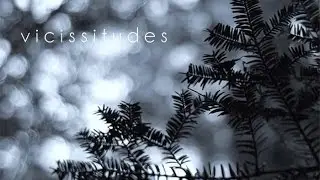 vicissitudes