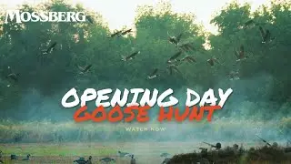 How We Scout For Early Goose Season.