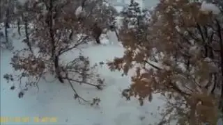 karda tavşan avı, охота на кроликов