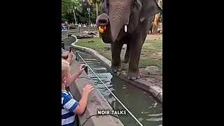This Elephant Made This Baby Happy ☺️❤️‍🩹 #shorts