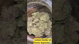 Lemon Candy Supreme 🌿LIT FARMS