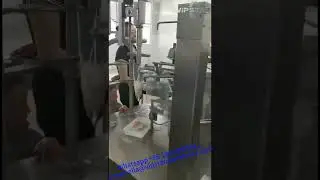 Vacuum filler vacuum stuffer #vipsatarmachinery #machinerychannel #machine