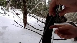 Coyote snares ( fastening )