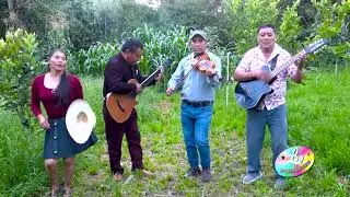 LOS COMPADRES DE SAN MARCOS Cuando yo mas te quería PRIMICIA 2026