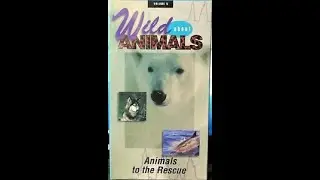 Wild About Animals Volume 5: Animals to the Rescue
