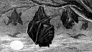 Gothic Imagination - Dracula (2012) Audio Drama