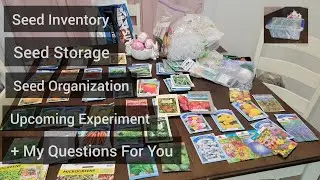 Seed Inventory & Organzing My Seed Storage | Plus Upcoming Experiment With Old Seeds!
