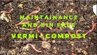 Maintenance Free bin less vermi compost with kitchen waste | A-Z Home & Garden