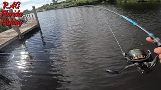Рыболовные доки и дамбы для ловли кефали во время нереста!!!